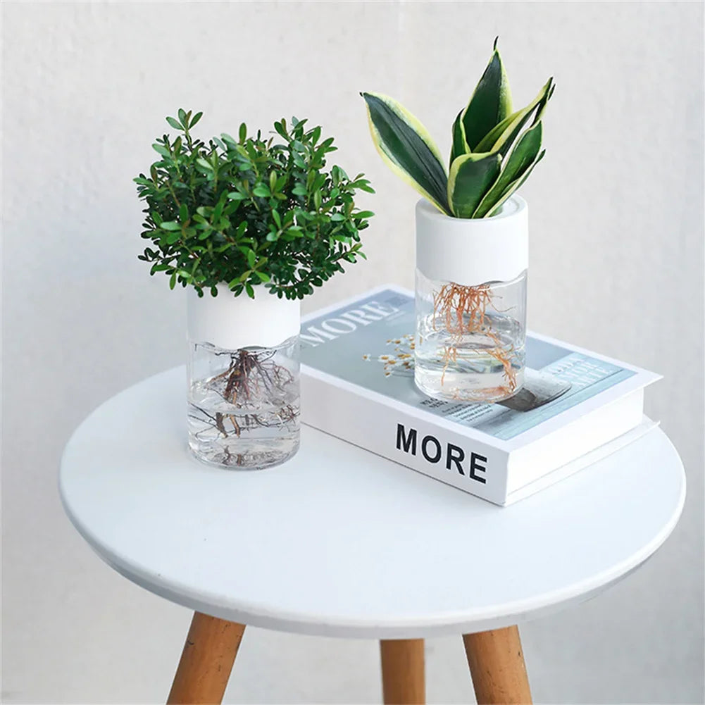 Self-Watering Hydroponic Plant Pot