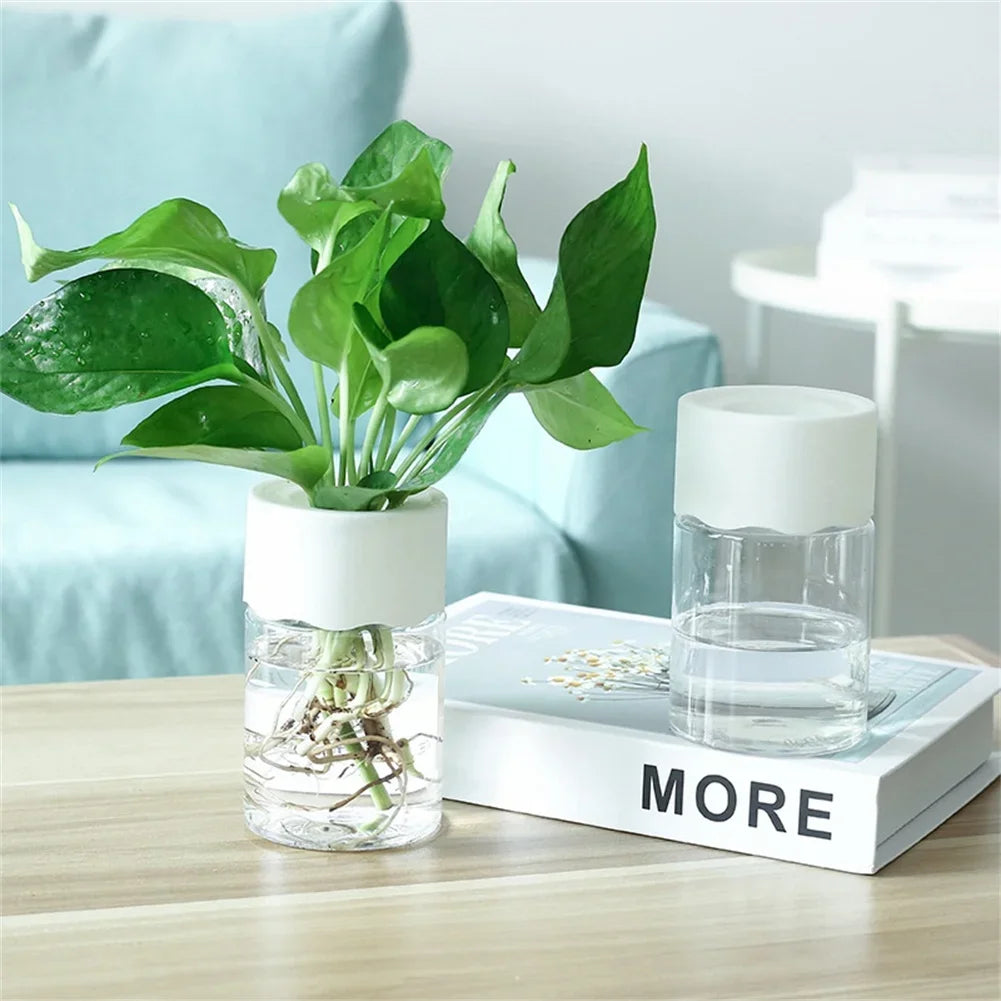 Self-Watering Hydroponic Plant Pot