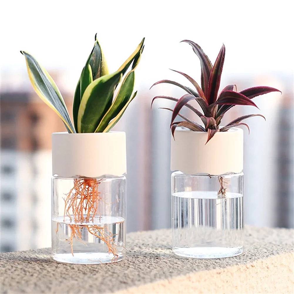 Self-Watering Hydroponic Plant Pot
