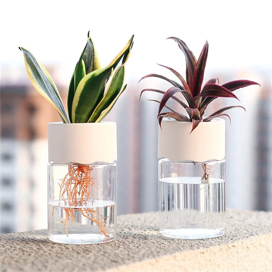 Self-Watering Hydroponic Plant Pot