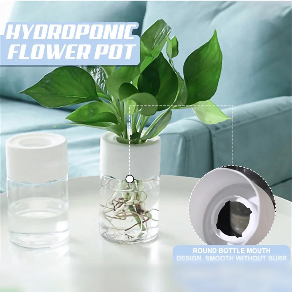 Self-Watering Hydroponic Plant Pot