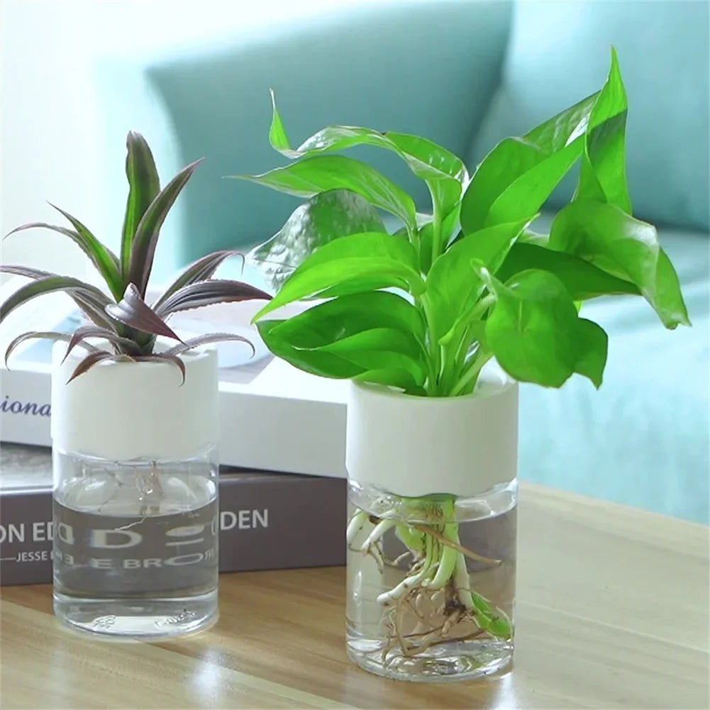 Self-Watering Hydroponic Plant Pot